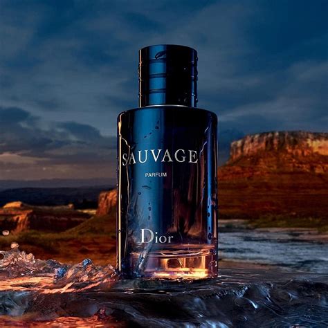 dior savauge perfum|dior sauvage cheapest price.